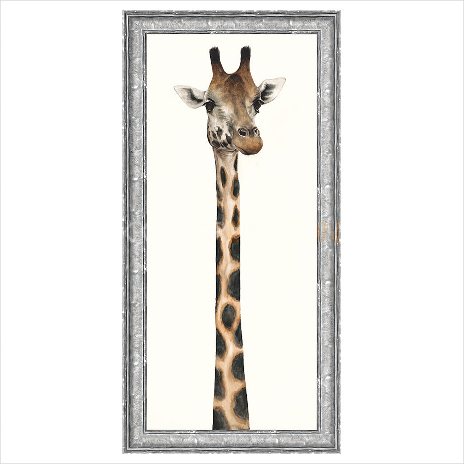 Tall, Dappled and Handsome by Dominique Salm