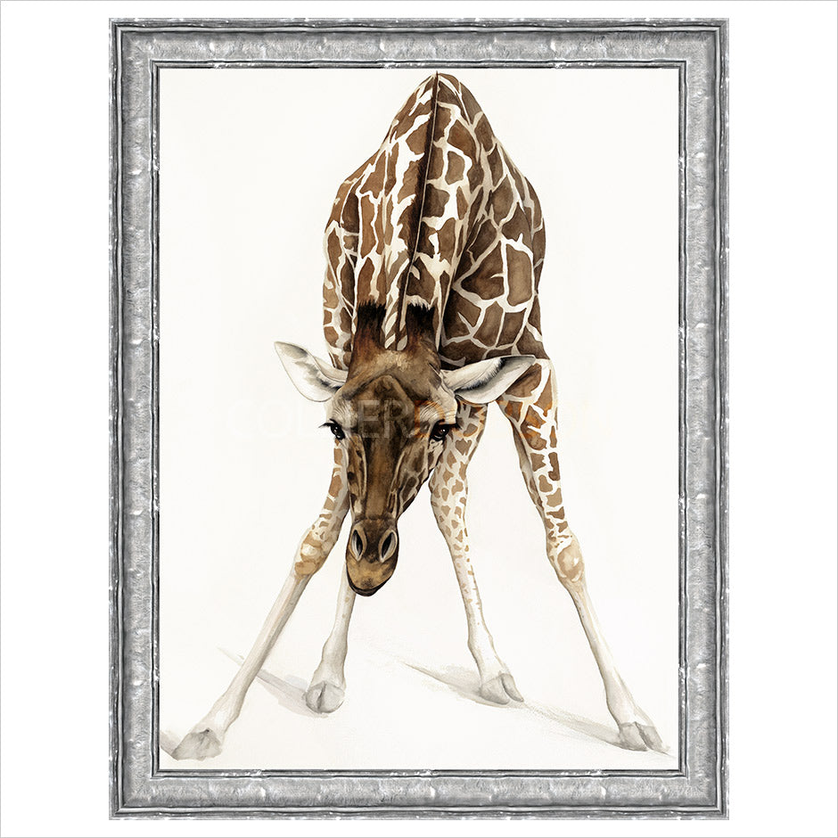 Can I Help You? by Dominique Salm