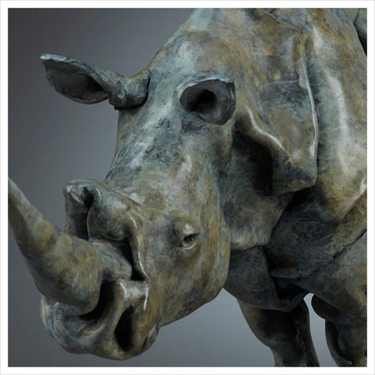 Southern White Rhino by Fred Gordon