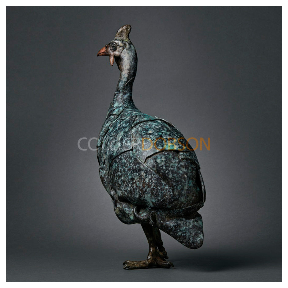 Guinea Fowl by Fred Gordon