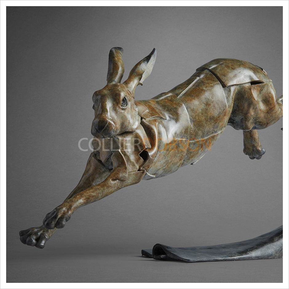 Running Hare by Fred Gordon