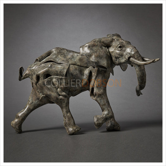 Elephant by Fred Gordon