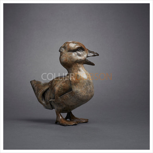 Quacking Duckling by Fred Gordon