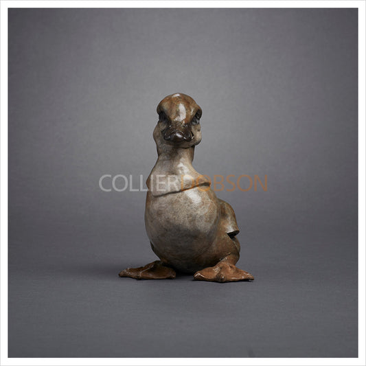 Seated Duckling by Fred Gordon