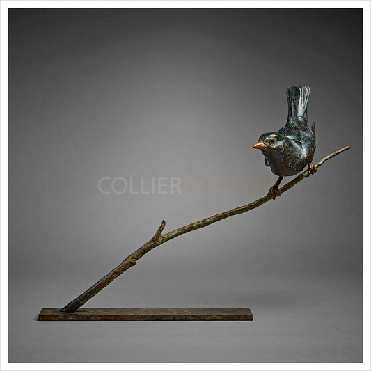 Blackbird by Fred Gordon