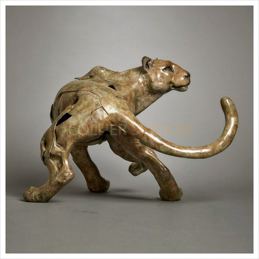 Leopard Turning by Fred Gordon