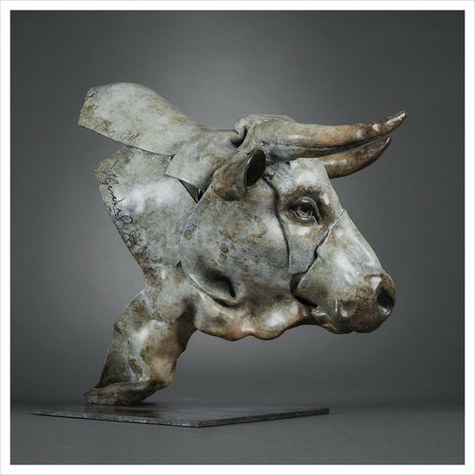White Park Bull Head by Fred Gordon