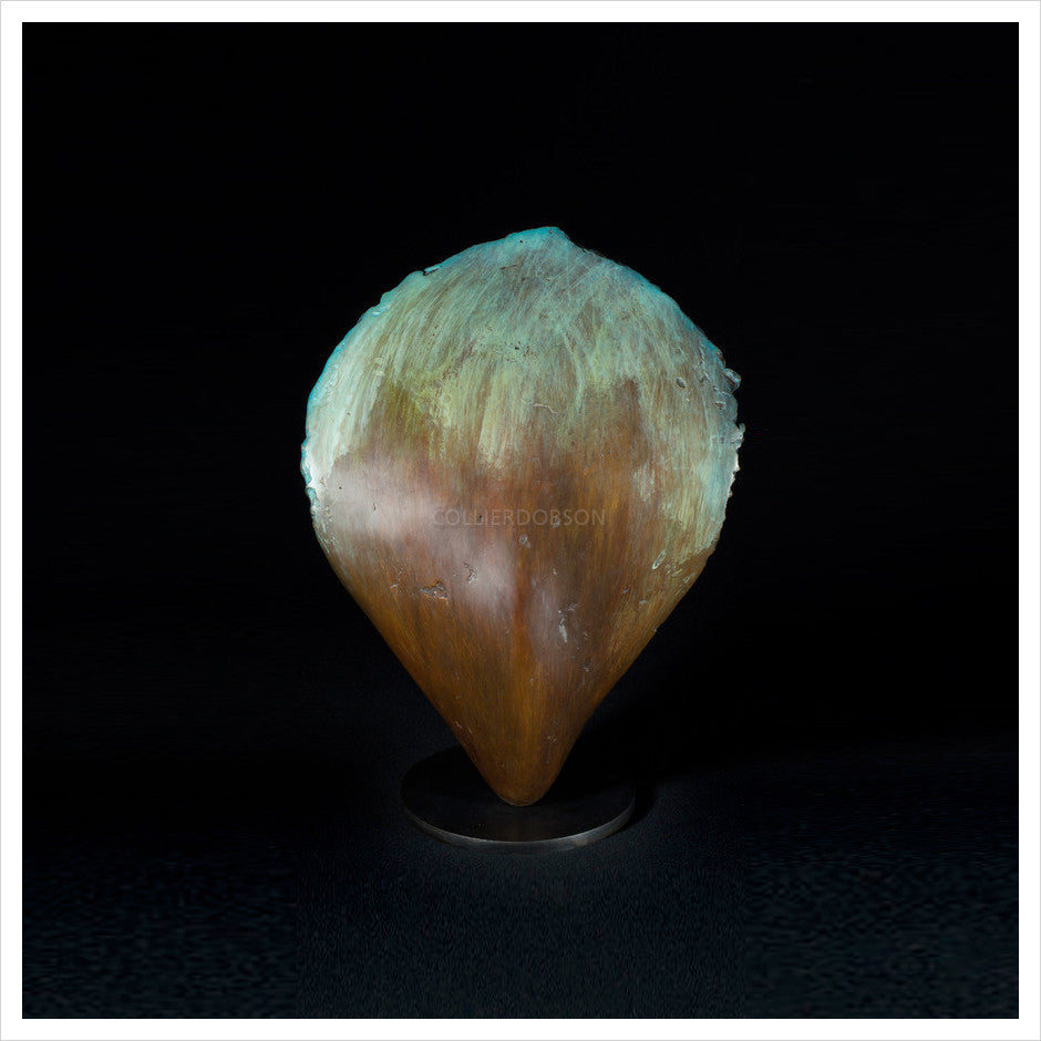 Flourish by Geoff Jeal