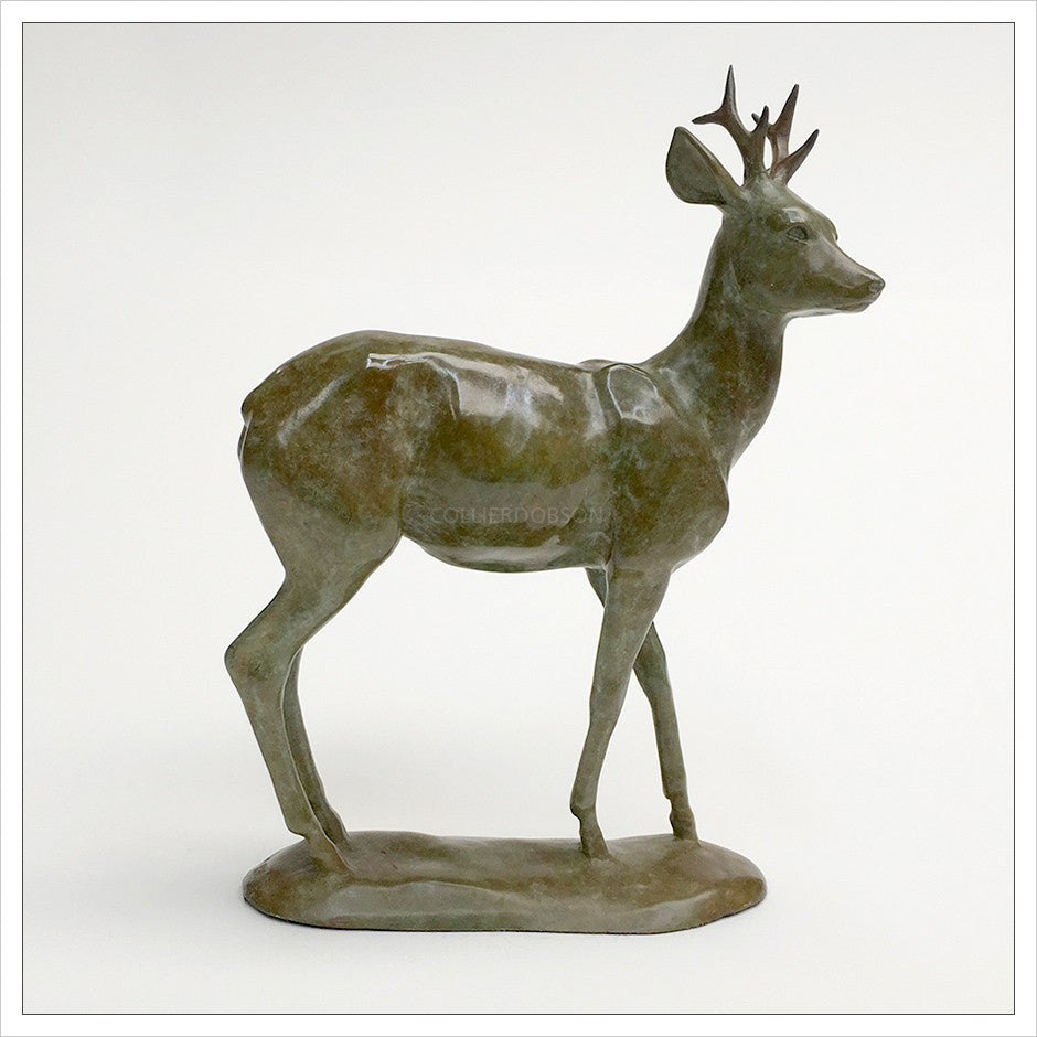 Roe Buck by Gill Parker