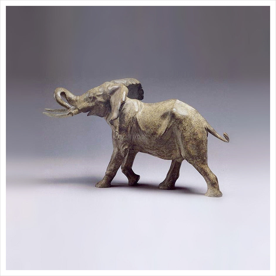 Elephant by Gill Parker