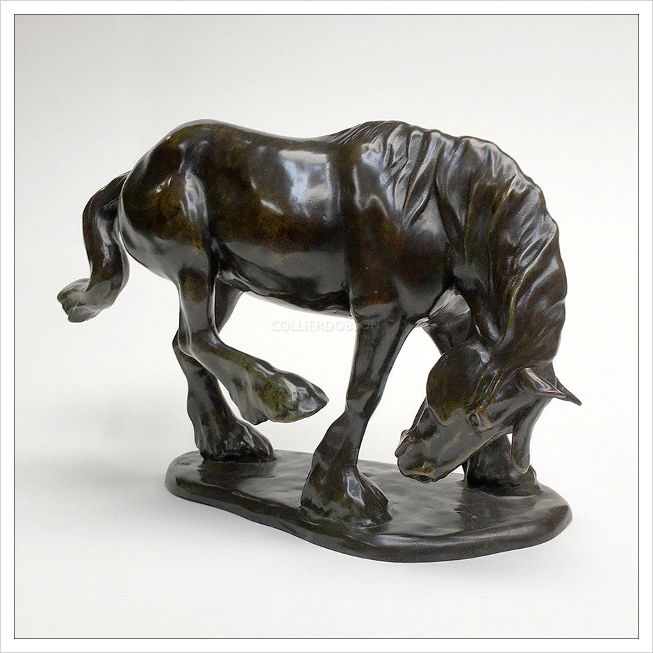 The Big Itch by Gill Parker