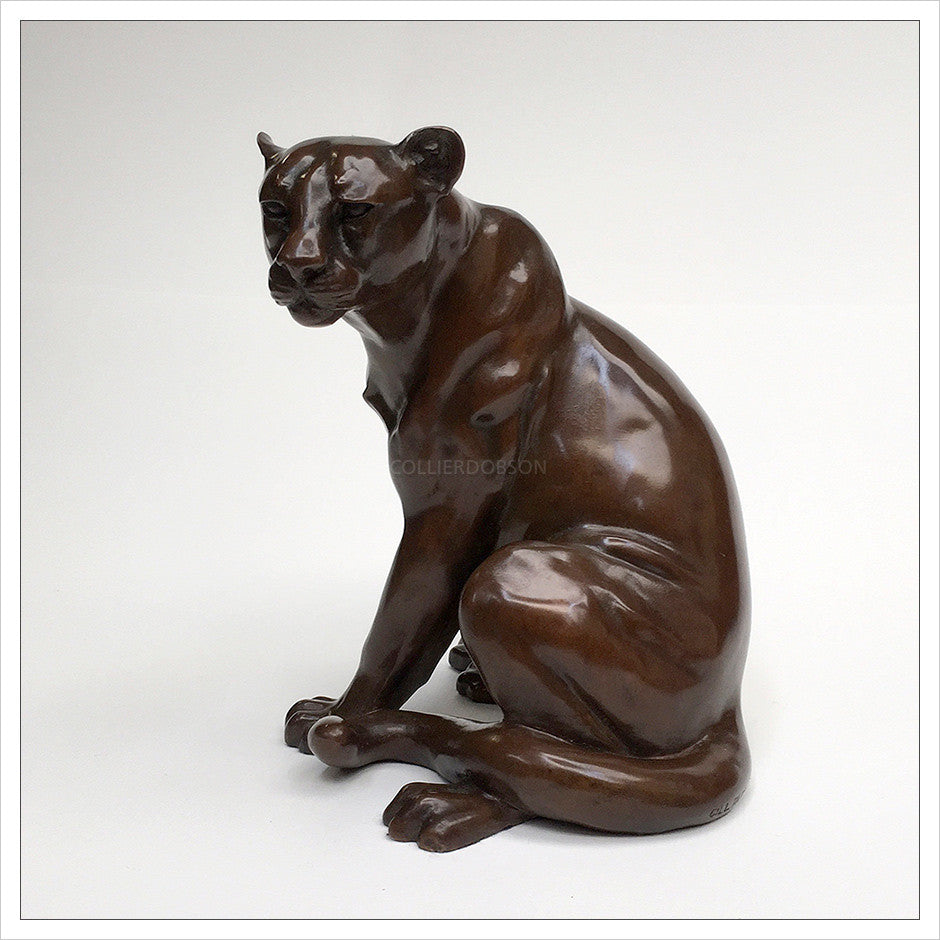 Leopard by Gill Parker