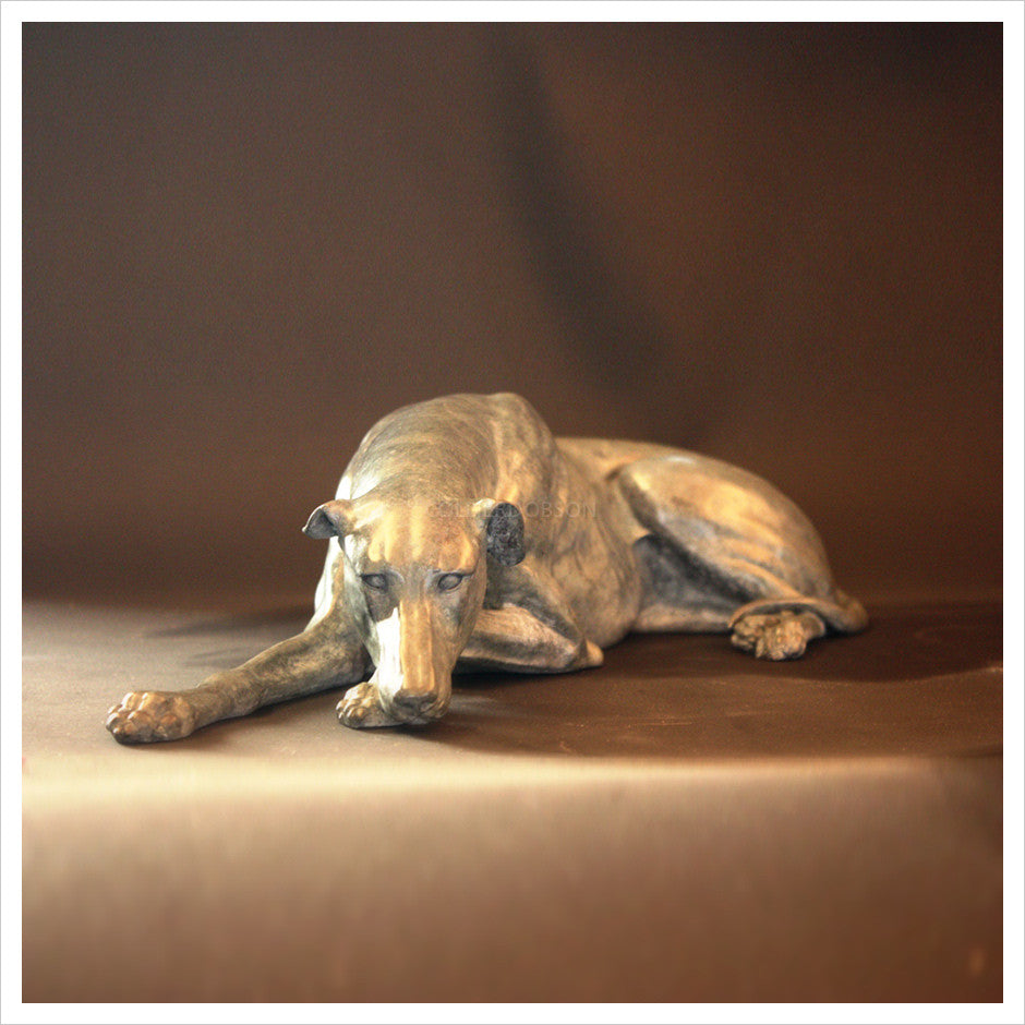 Greyhound by Gill Parker