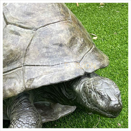 Galapagos Tortoise III by Gill Parker