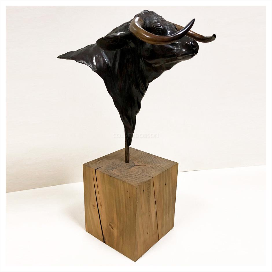 Long Horn Bull by Gill Parker