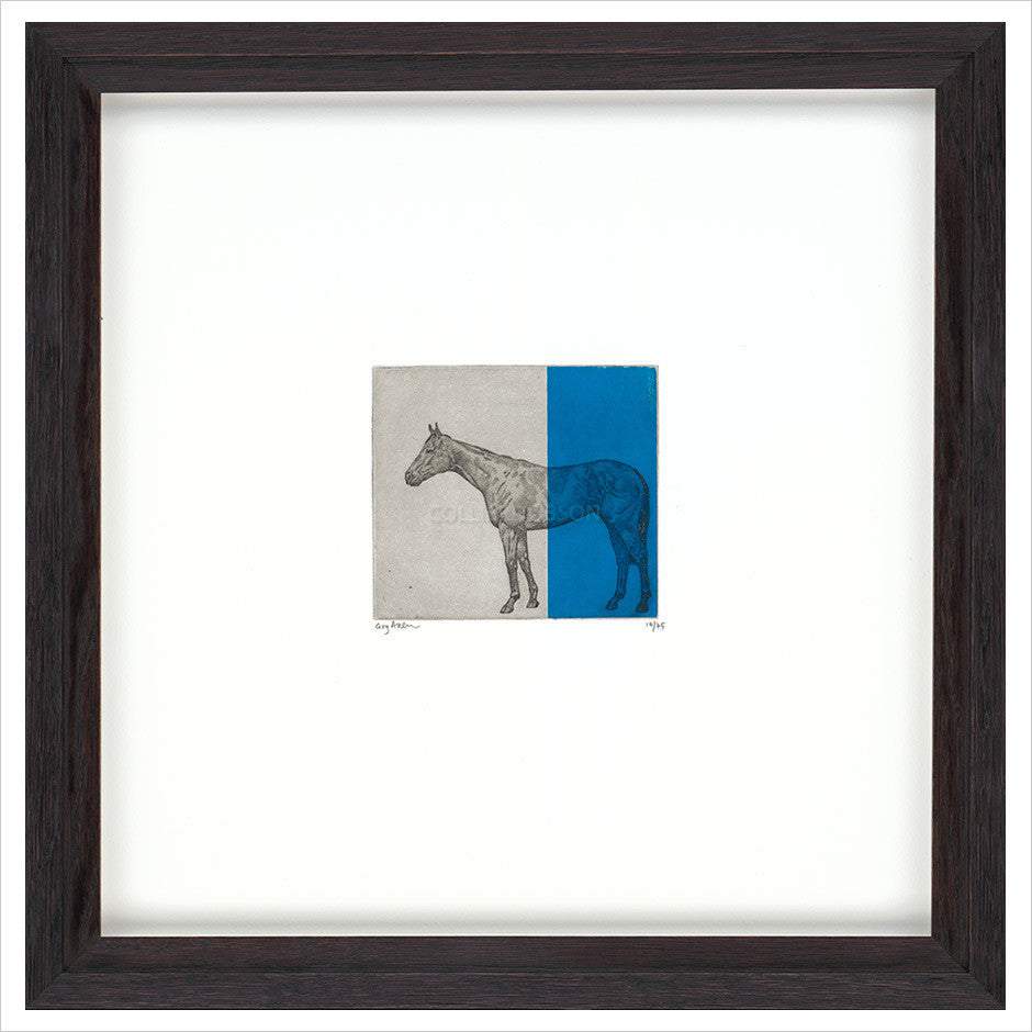 Framed Print