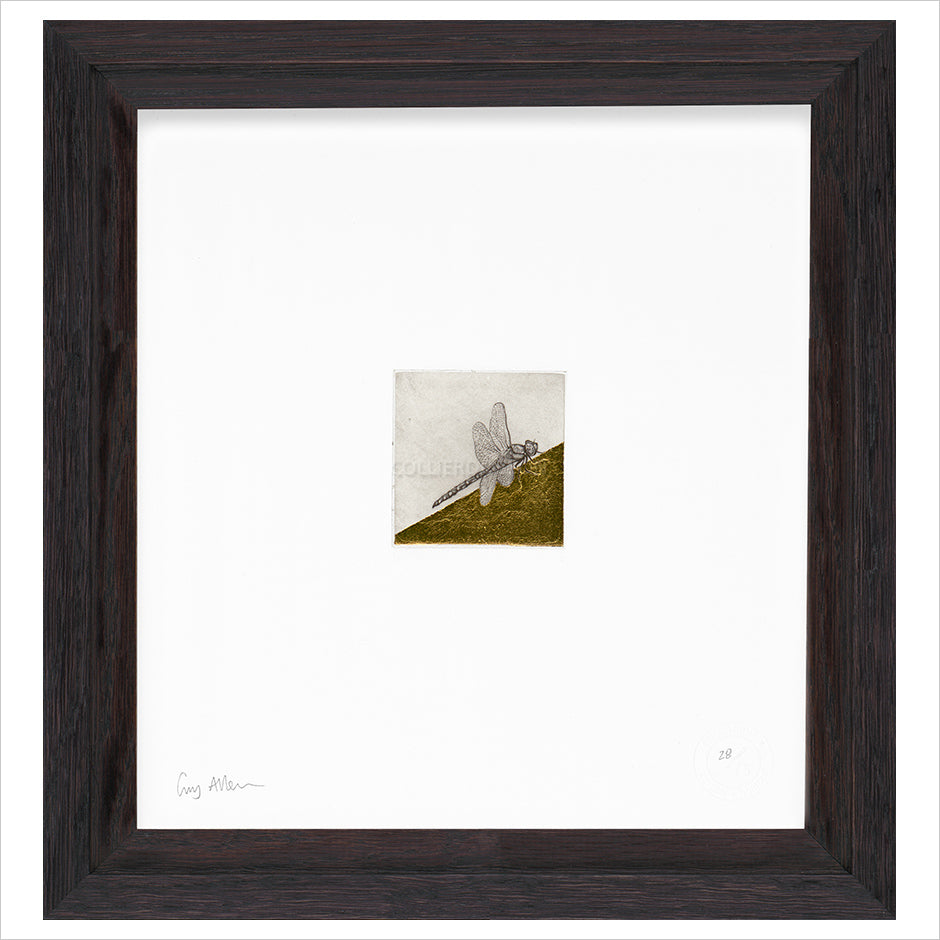 Framed Print (ARTglass)