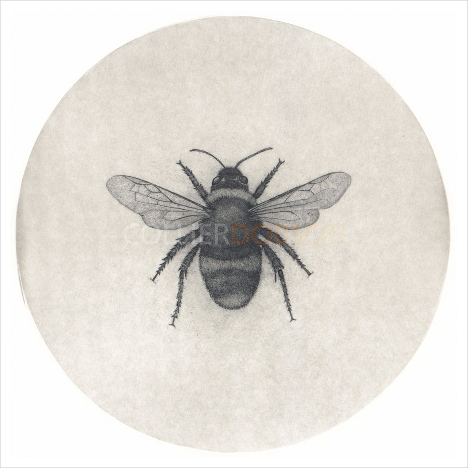 Bumblebee by Guy Allen