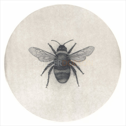 Bumblebee by Guy Allen