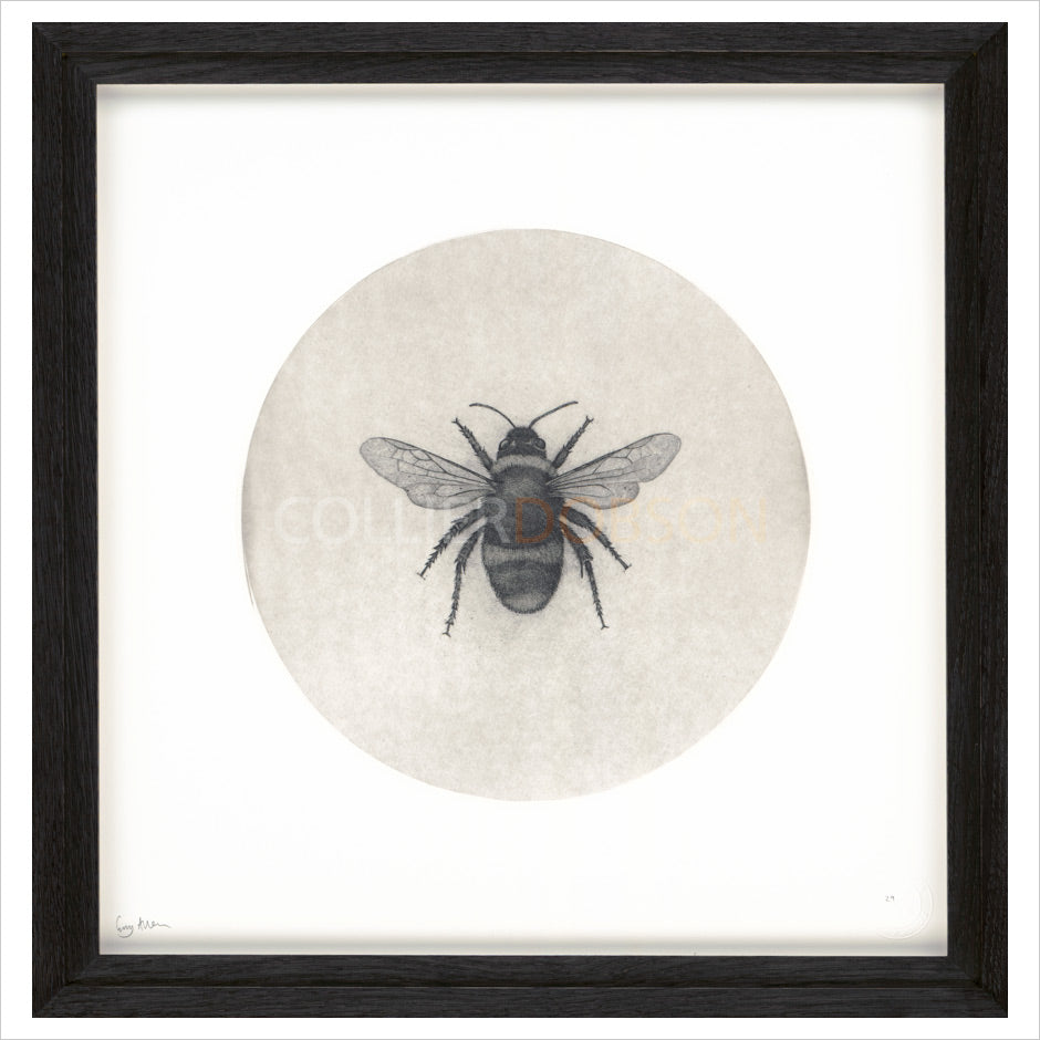 Framed Print (ARTglass)