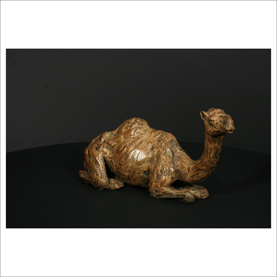 Hamish Mackie Camel Sitting
