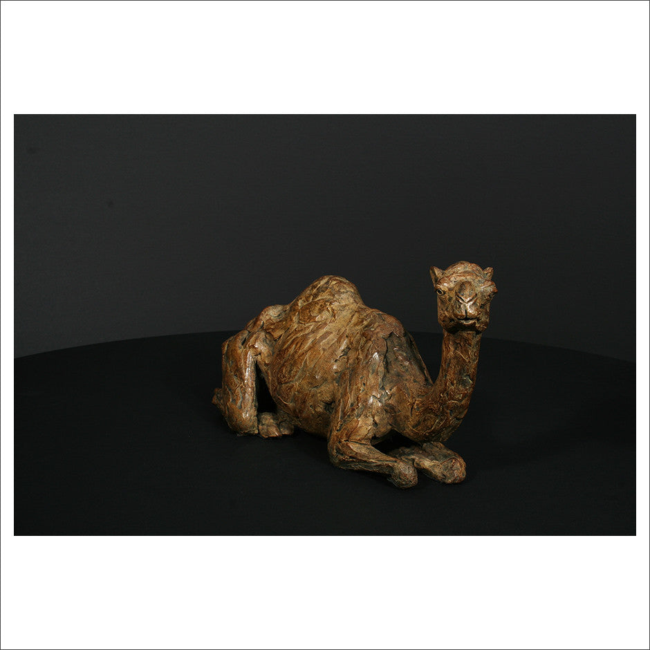 Camel Sitting