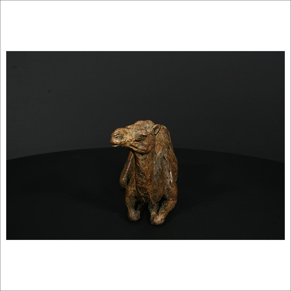 Camel Sitting