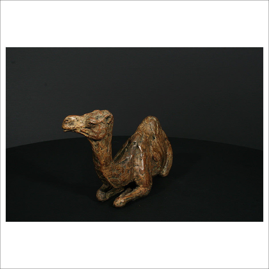 Camel Sitting