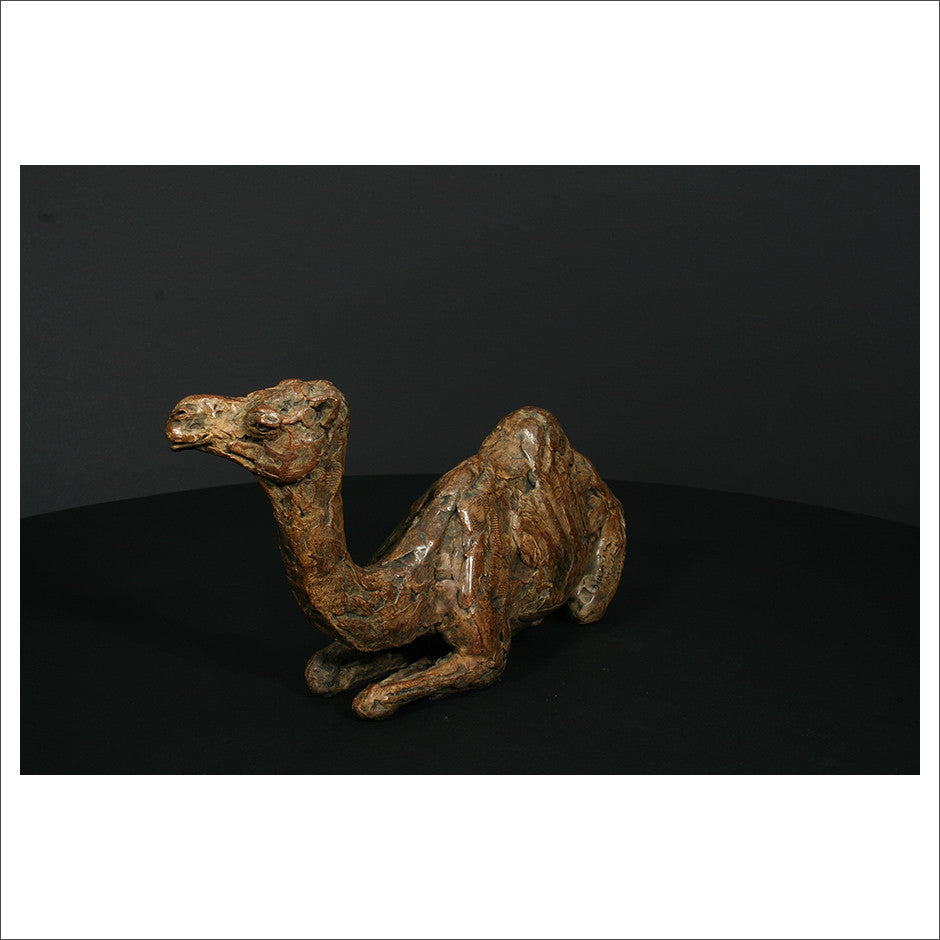 Camel Sitting