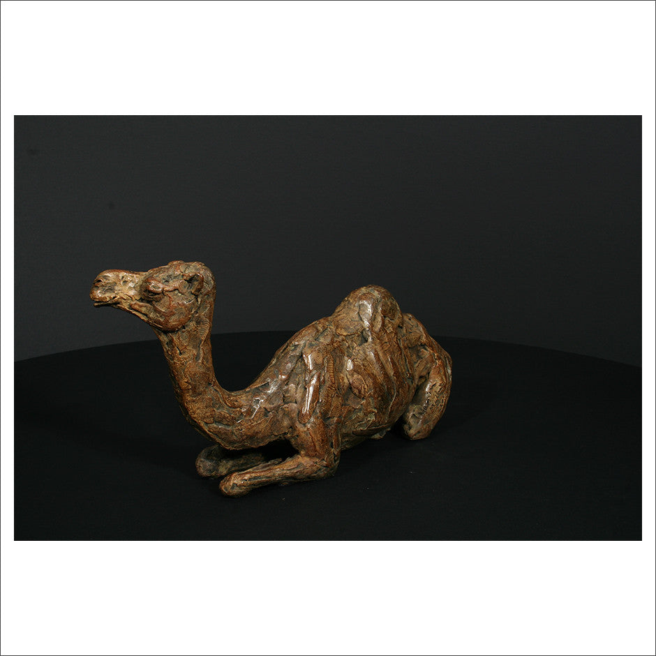 Camel Sitting