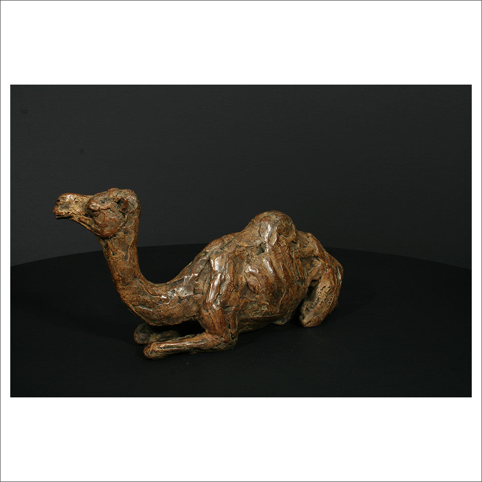 Camel Sitting
