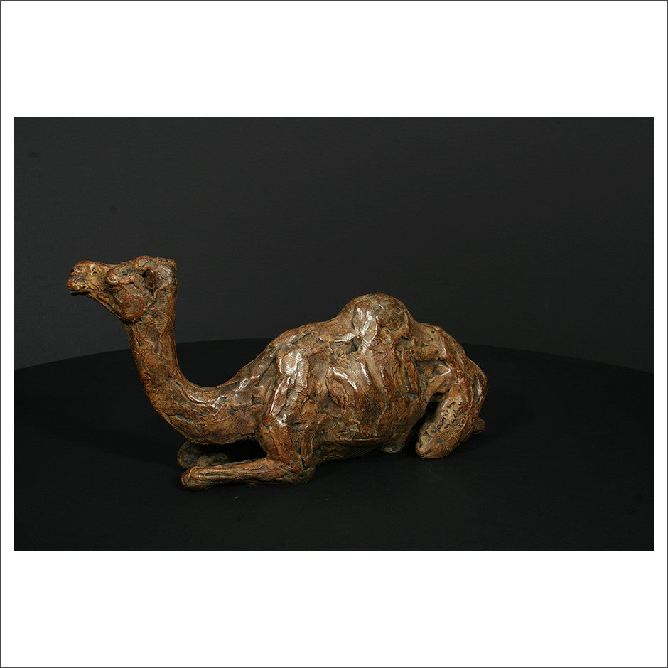 Camel Sitting