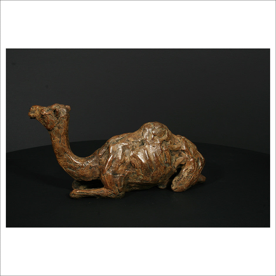 Camel Sitting