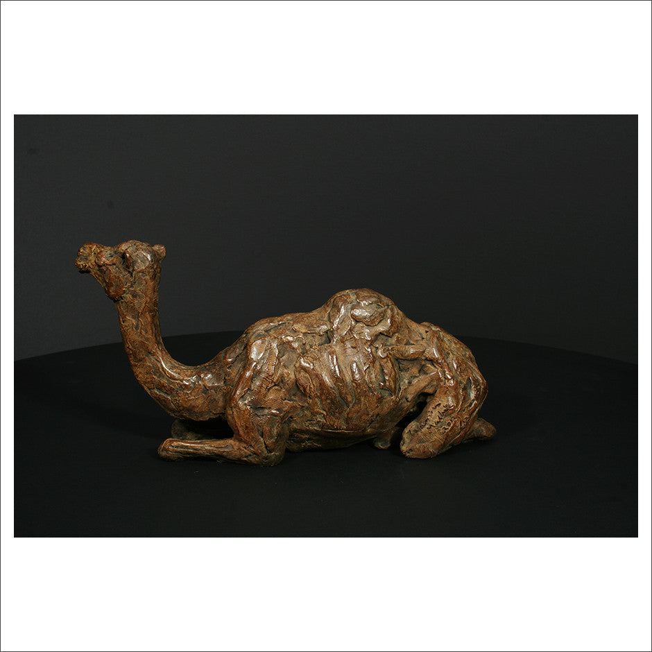 Camel Sitting