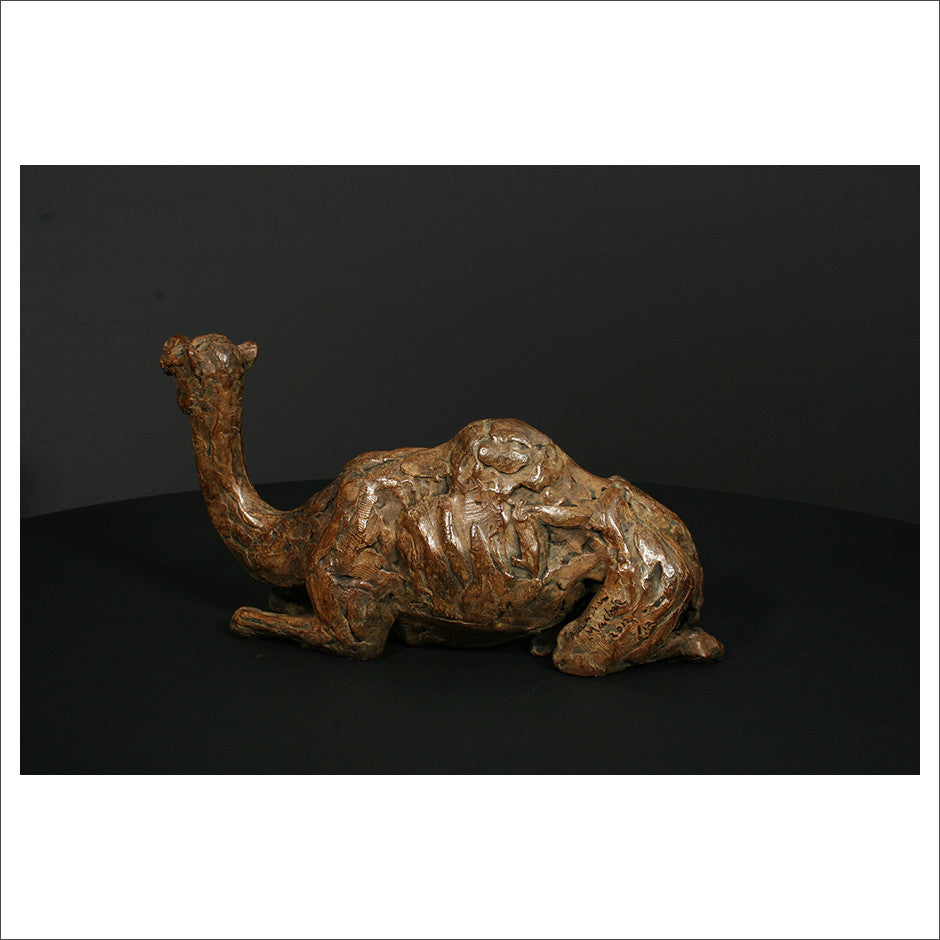 Camel Sitting