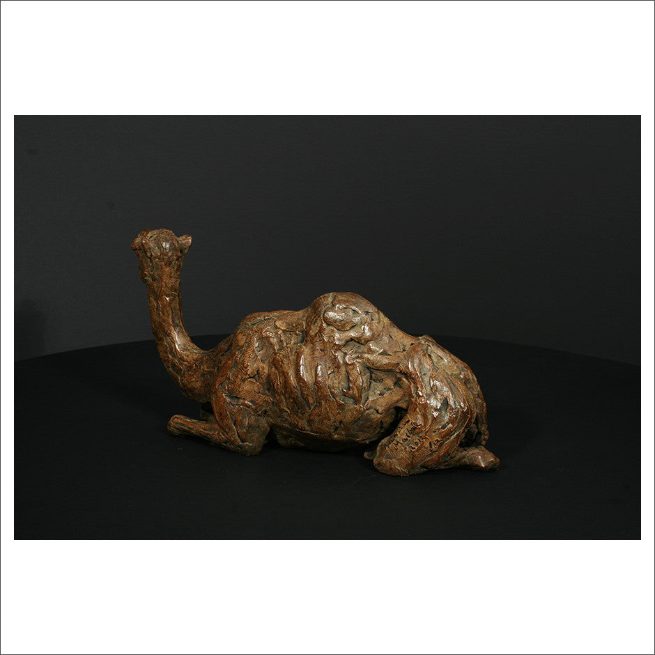 Camel Sitting