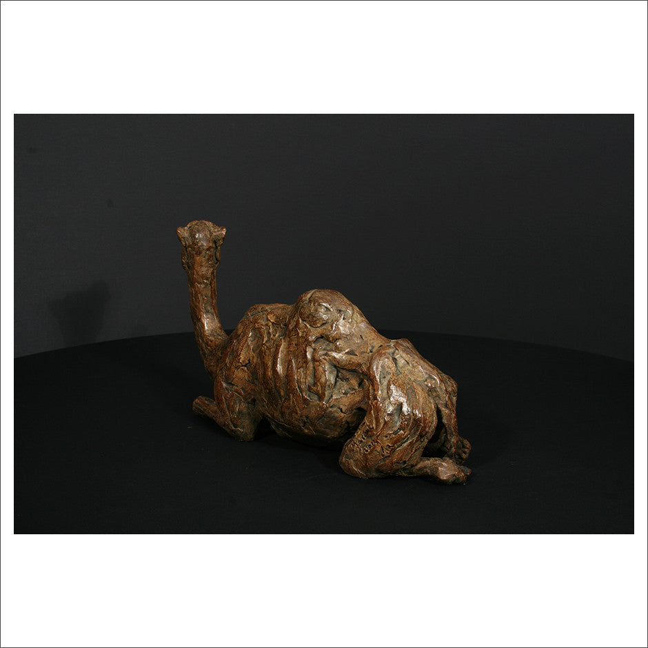 Camel Sitting