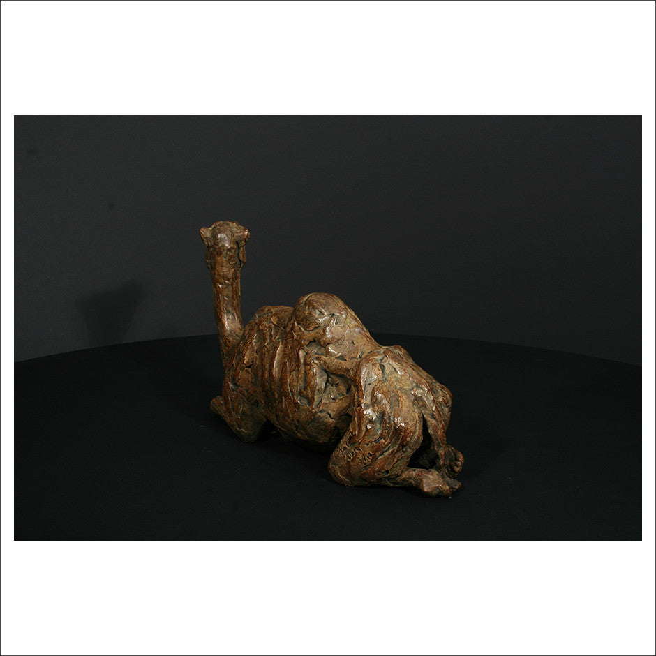 Camel Sitting