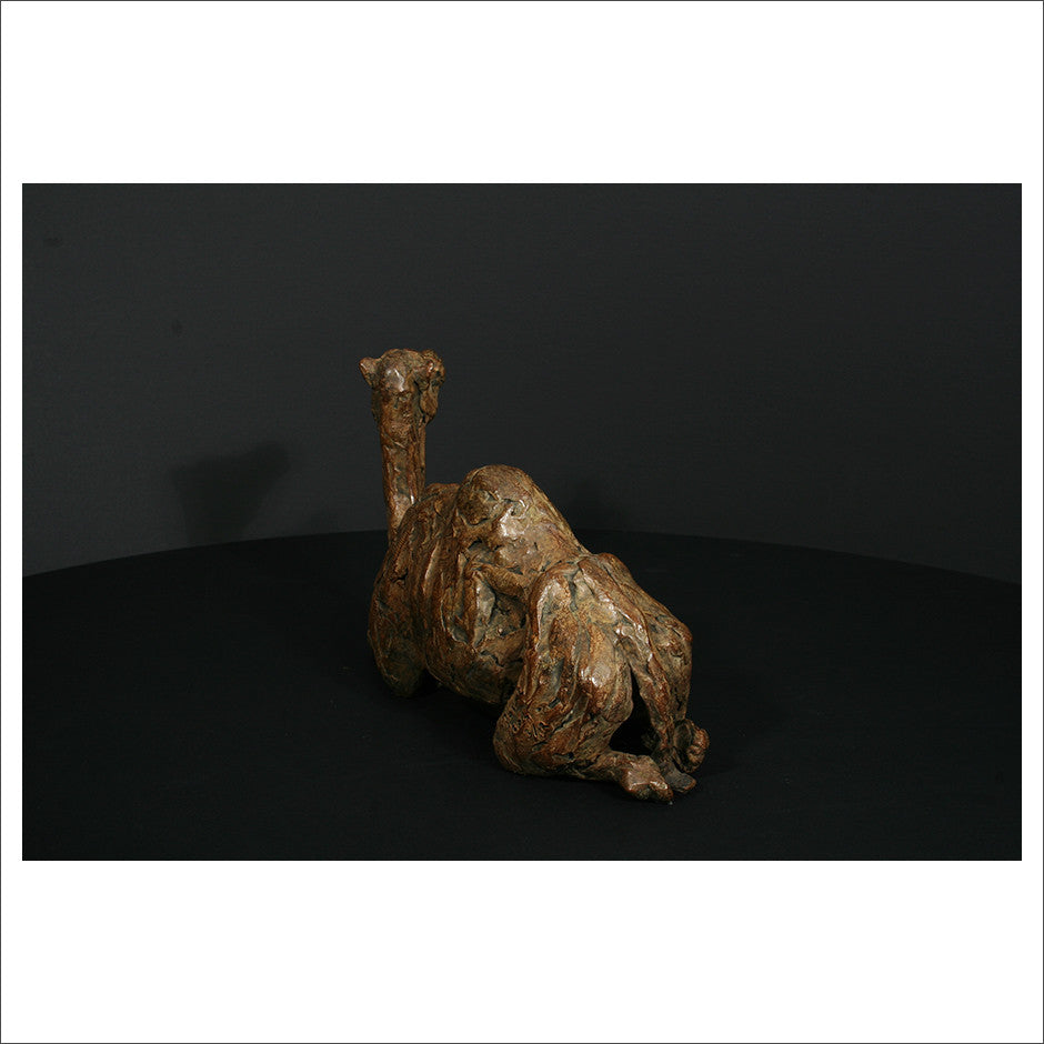 Camel Sitting