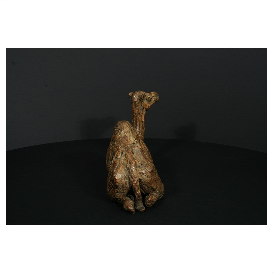 Camel Sitting
