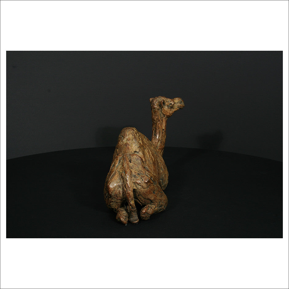 Camel Sitting