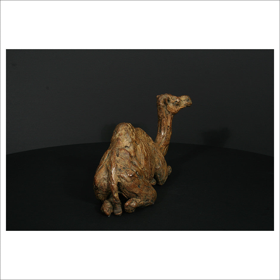 Camel Sitting