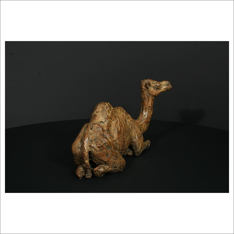 Camel Sitting
