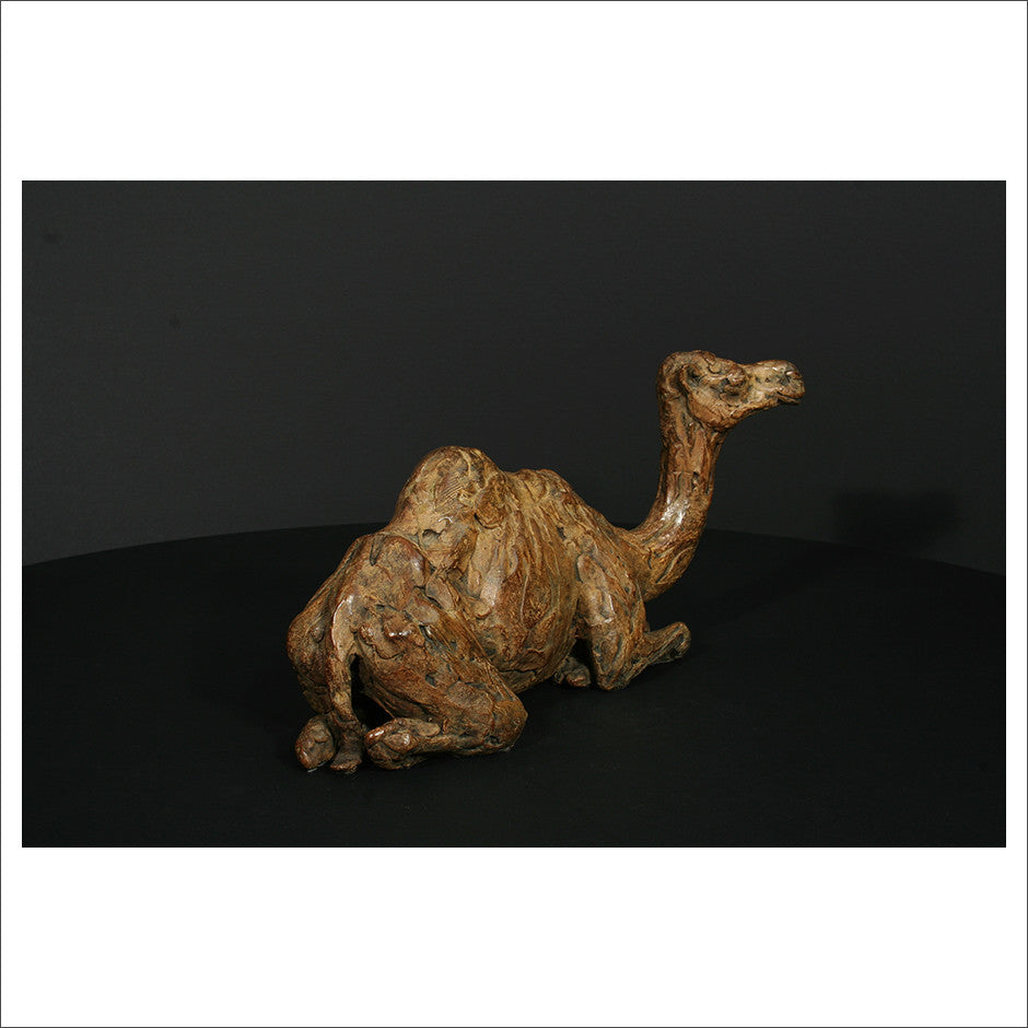 Camel Sitting