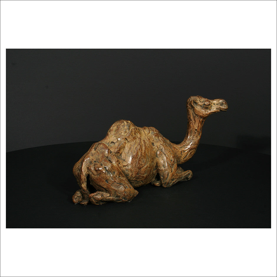 Camel Sitting