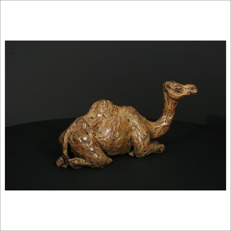 Camel Sitting