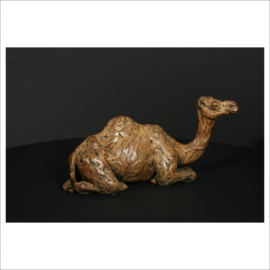 Camel Sitting