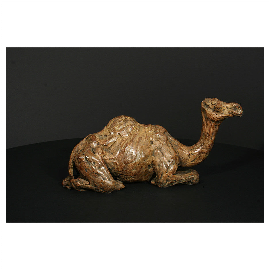 Camel Sitting