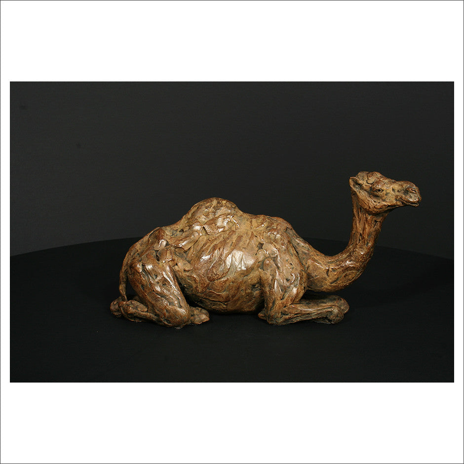 Camel Sitting