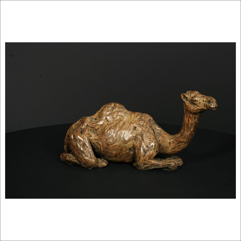 Camel Sitting